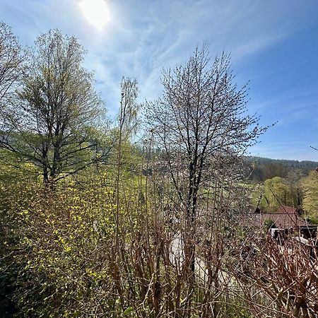 Natur Pur - Waldurlaub Im Tiny House Ronshausen Bagian luar foto