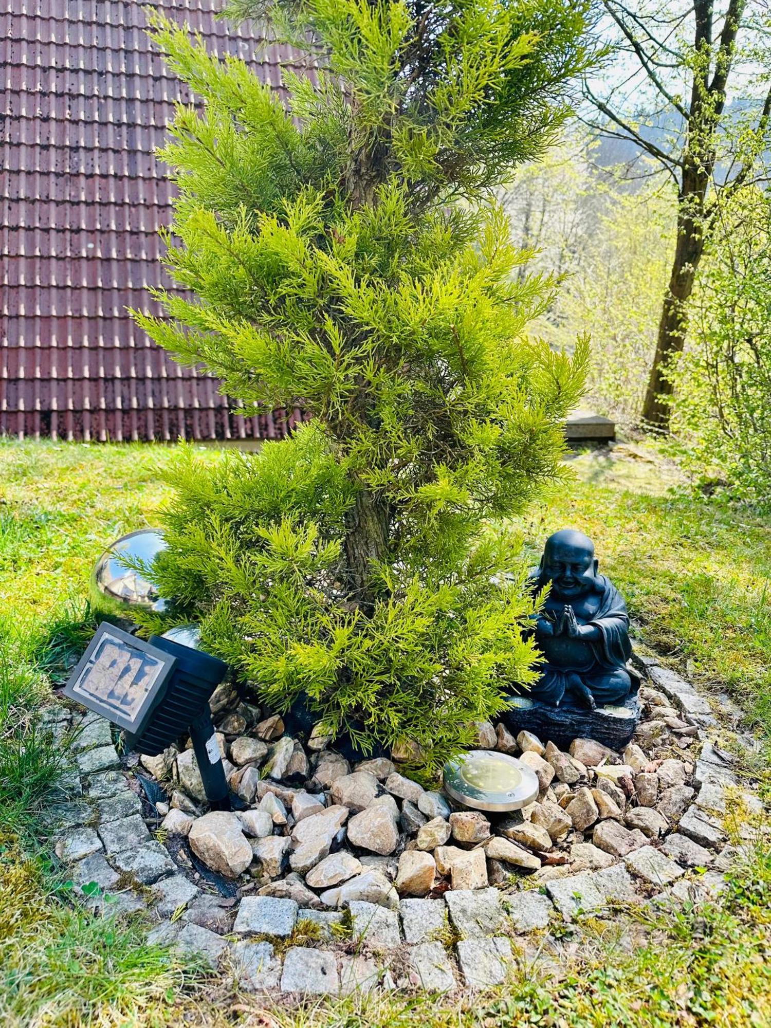 Natur Pur - Waldurlaub Im Tiny House Ronshausen Bagian luar foto