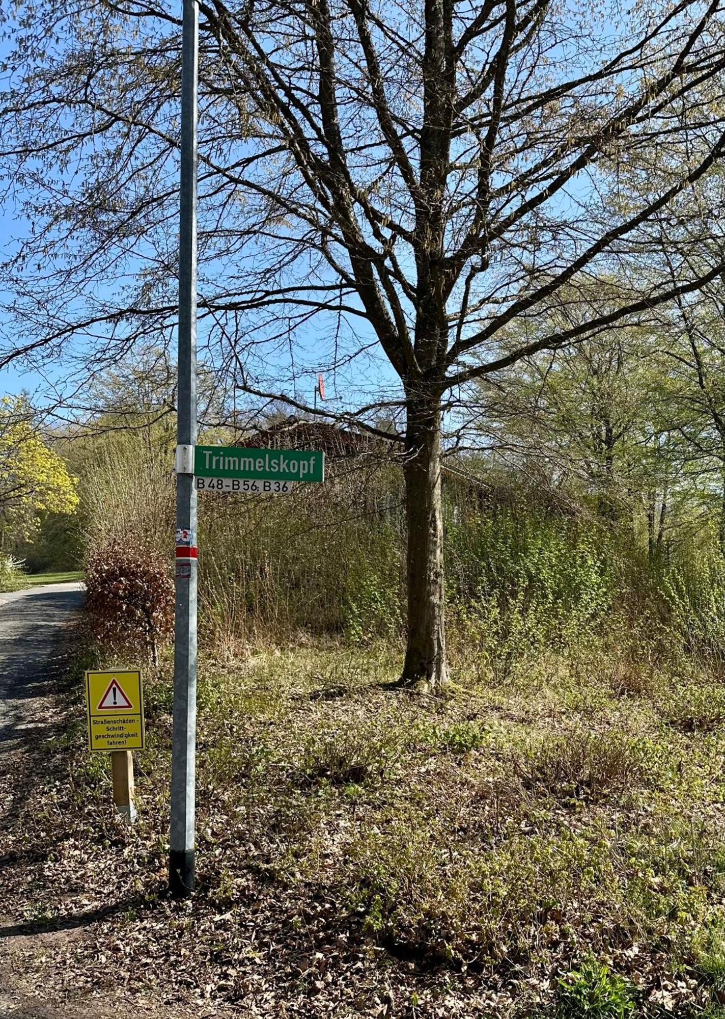Natur Pur - Waldurlaub Im Tiny House Ronshausen Bagian luar foto