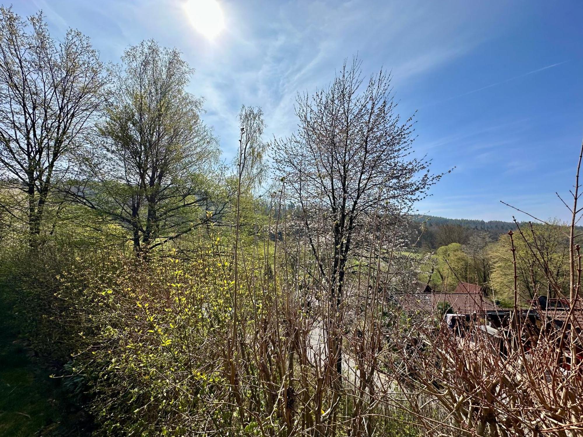 Natur Pur - Waldurlaub Im Tiny House Ronshausen Bagian luar foto